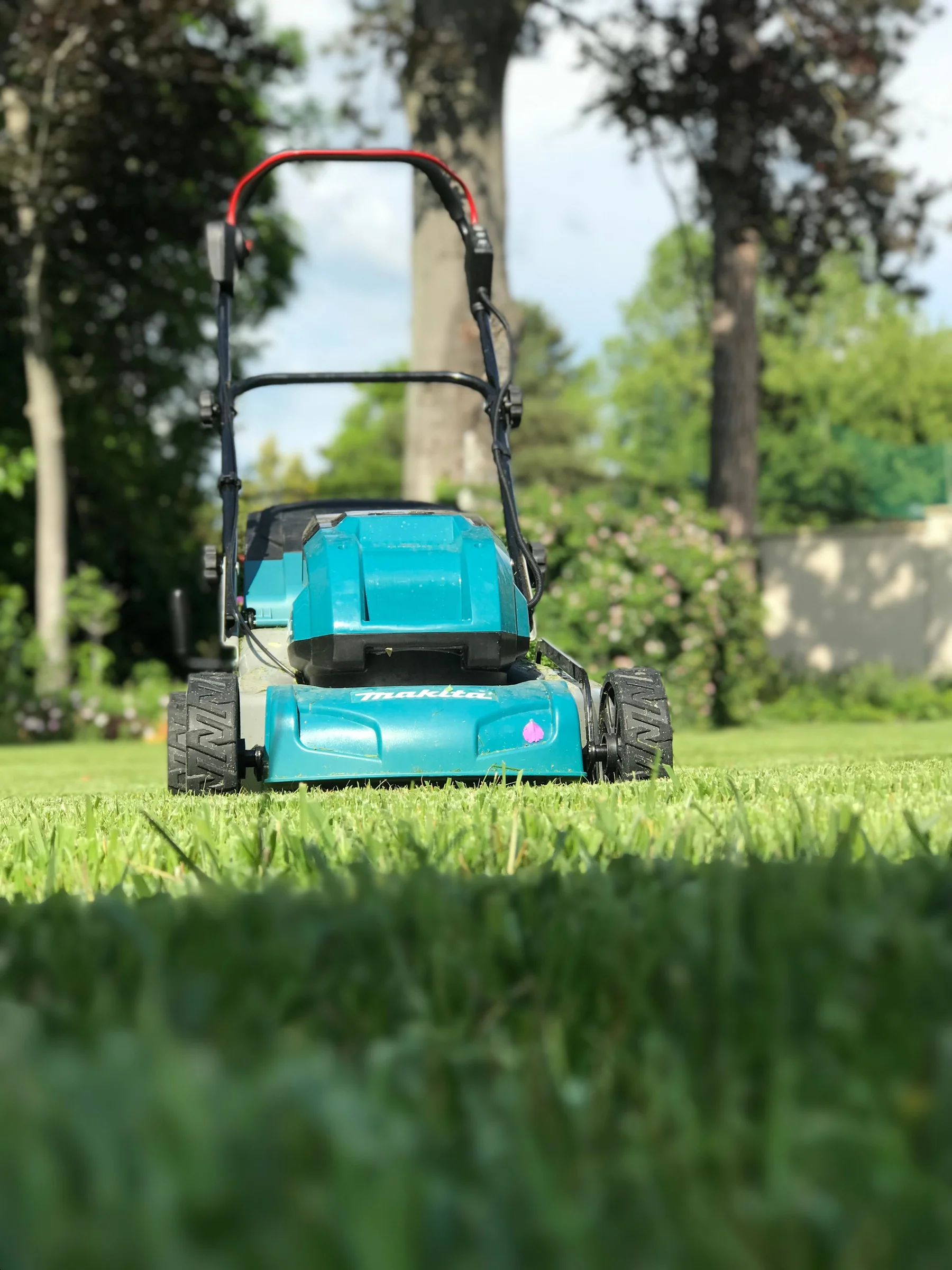 Teal rotary lawn mower on a green lawn
